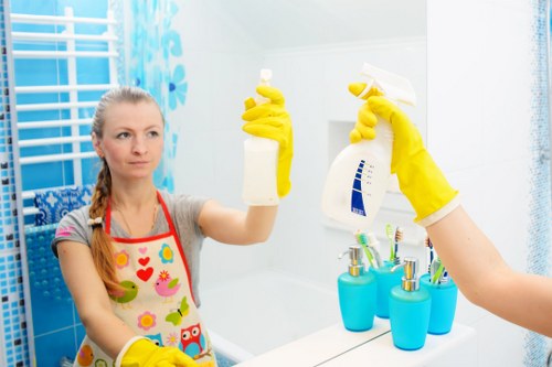 Window cleaning for homes and businesses in Edgware