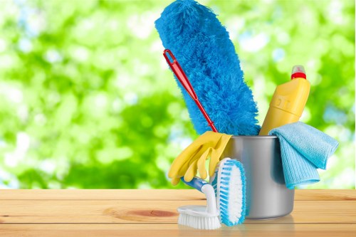 Professional oven cleaning service for Edgware homes