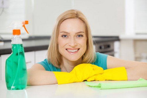 Illustration representing a website cookie policy overview for Edgware Carpet Cleaners