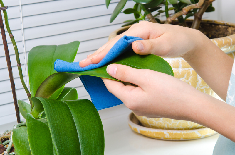 Professional cleaners Clean